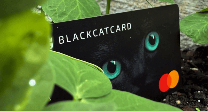 Security-Driven Fintech: Protecting Digital Transactions in a Connected World