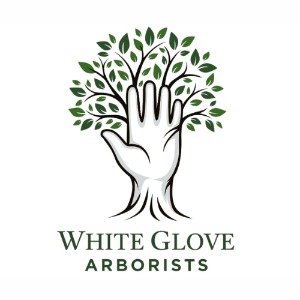 White Glove Arborists